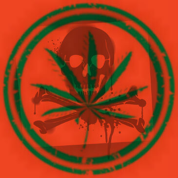 Marijuana Effects from Casual Use | Cannabis Addiction | The Dunes East Hampton