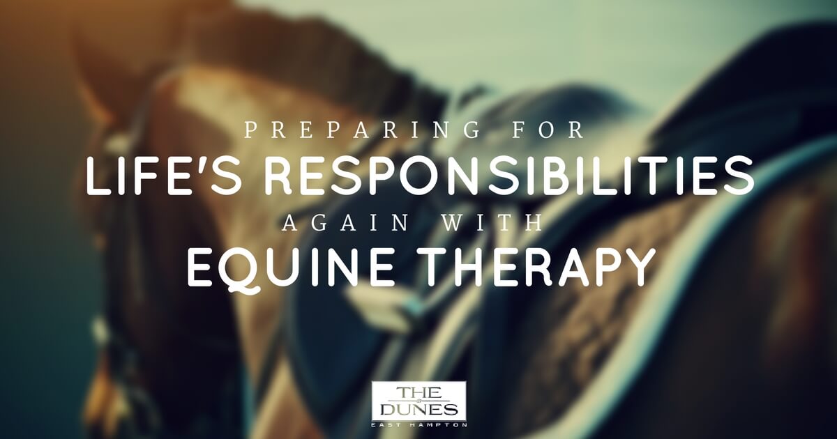 Prepare For Life Responsibilities Again With Equine Therapy