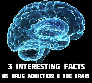 3 Drug Addiction Facts
