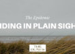 American Epidemic Hiding In Plain Sight-Opioid Addiction