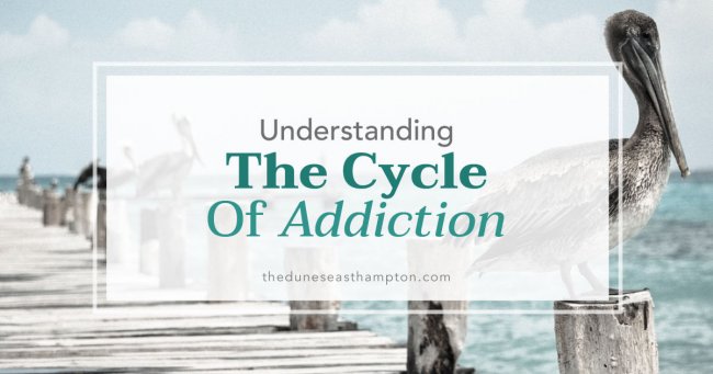 Understanding the Cycle of Addiction Understanding the Cycle of Addiction