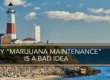 Marijuana Maintenance