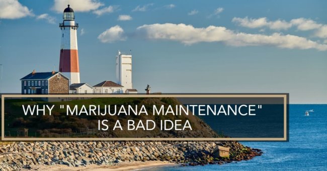 Marijuana Maintenance Marijuana Maintenance