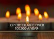 opioid death rate