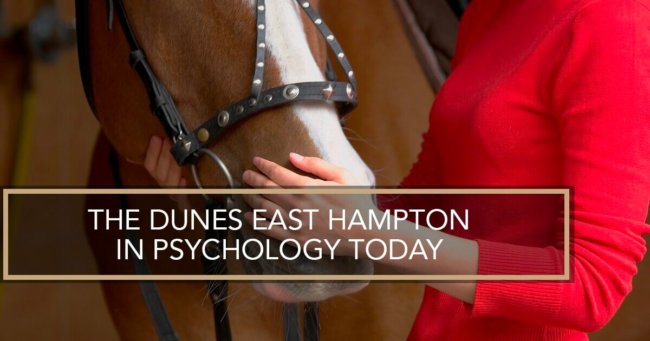 equestrian therapy equestrian therapy