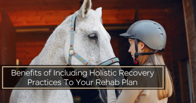 Holistic Rehab Holistic Rehab